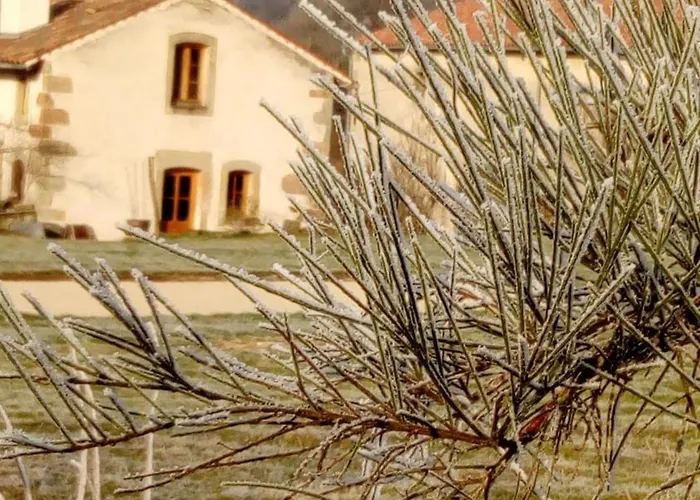 Holiday home La Cabiole