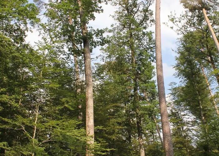 Holiday home La Cabiole *