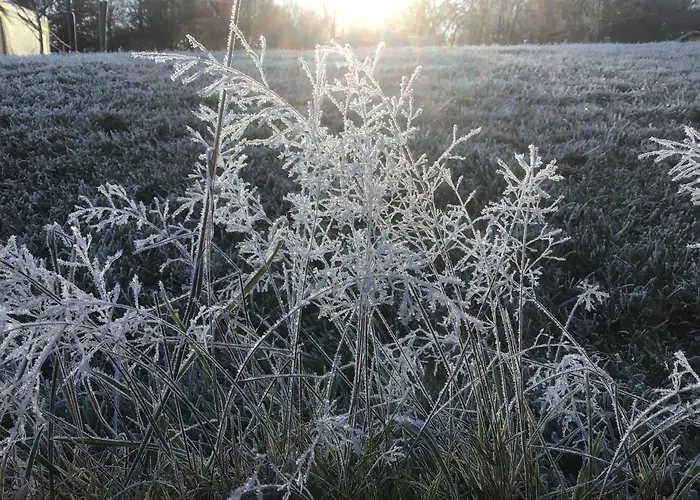 La Cabiole Holiday home *